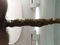 Dude exposes his hairy ass and takes an enormous messy shit in this toilet scam cam video