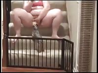 Plumper spreads her thighs during live streaming webcam show and enjoys zoophilia fetish
