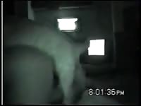 Precious shy amateur cougar getting rammed senseless by animal in this sex video with dog