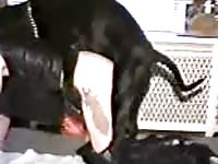 Fresh-faced older tramp getting her cunt fucked by a dog in this bestiality fetish footage