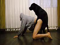 Dark-haired Polish girl is having sex with her black dog