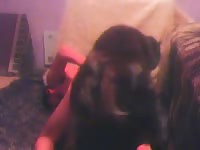 Bored dude cheats on his girlfriend as he engages inzoophilia sex with their dog on cam