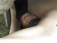 Wild amateur tramp spreads her legs wide and enjoys zoophilia adventure with a horse