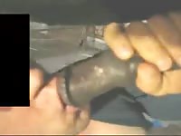 Excited dude finds himself curious by endowed horse and treats beast to BJ in this oral video