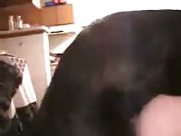 Sex-charged newcomer gets her cunt fucked good in this homemade bestiality movie