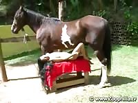 Tramp positions herself under horse and enjoys getting fucked by the animal for first time