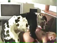 Blonde woman with big boobs is having sex with her lovely pet