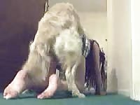 Stunning sportswoman gets fucked hard by her dog