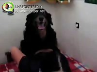 This phenomenal hardcore animal sex movie features teen cutie fucked beautifully by K9