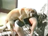 Lovely dark-haired teenage is having intercourse with a dog