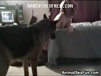 Lovely girl with big boobs is having intercourse with a dog for the first time