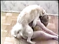 Drunk Canadian female is having intercourse with a dog after a party