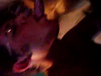 Daring jizz loving dude in glasses shows off his dick sucking skills in this beast sex flick