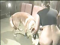 Old Ukrainian milf is giving head to her son's dog in the living room