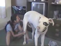 Mexican milf is gently fucking with her obedient dog