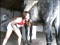Curious cougar exposes her huge real breasts before using her mouth to suck horse cock here