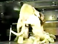 Never seen before college-aged hoe getting stuffed by dog cock in this bestiality video