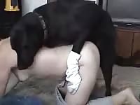 Small breasted never seen before married hoe satisfies hubby by engaging in bestiality sex