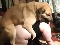 Old fat grannies are having sex with their dogs in the living room