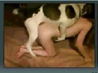 Adorable red-haired female is having sex with her lovely pet