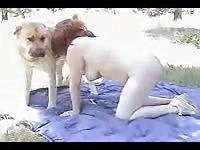Adorable French red-haired teacher is having sex with dogs in the park