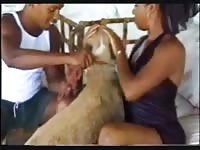 Black guy enjoys watching his girlfriend getting fucked by a dog