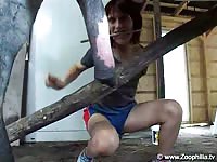 Attractive short-haired bitch is fucking with a horse in the stables