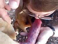 Hardworking nerdy looking young whore in glasses testing out her oral skills on an animal here