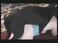 Brown-haired American female likes having fun with her father's pet