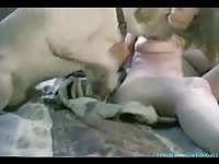 Pregnant Ukrainian slut enjoys giving head to a dog