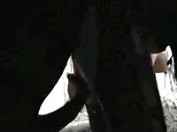 Hoe loves feeling the rush of beast cum from a horse as shes creampied during bestiality