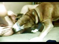 Dark-haired guy adores having intercourse with a horny dog