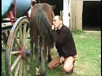 Sperm thirsty dude on his knees and enjoying a mouth full of animal cock during beast play