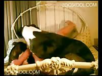 Zooskool - Drunk Russian teenage is having intercourse with her brother's dog