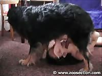 Horny brunette with a nice ass is giving head to her pet