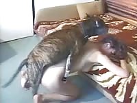Lovely brown-haired slut wants to have sex with her dog for the first time