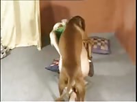 Blonde playful never seen before trollop getting her young box fucked by beast in this video