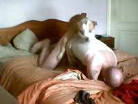 Bald man with a huge cock enjoys getting assfucked by his dog