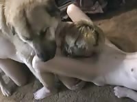 Ugly Canadian pervert is having intercourse with her dog