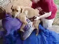 Unbelievably experienced female is having intercourse with her dog