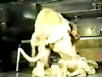 Classic doggystyle fucking movie features wife being ridden hard by large beast at home