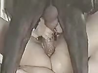 Enormous black beast screwing an animal sex friendly amateur whore in this recent video