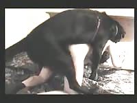 Lovely dark-haired female is having intercourse with her obedient pet
