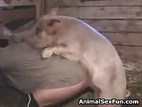 Little pig unbelievably fucks its mistress on the farm