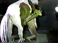 Indian daddy is having intercourse with a horse in the stables