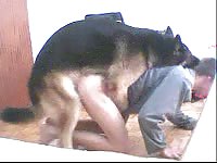 Big dog goes crazy for his owner's tight ass