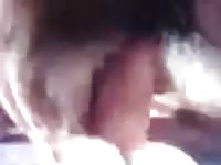 Pussy controlled and drilled by huge dog