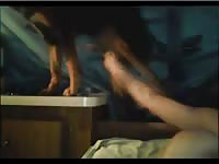 Enticing never filmed animal sex curious teen hottie blowing a big horse in this zoophilia scene
