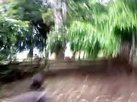 Closeup of pigs mating in mud