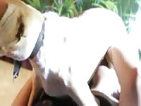 Brazen Dutch schoolgirl is having fun with her dog's cock